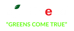 皇晟國際有限公司 Logo